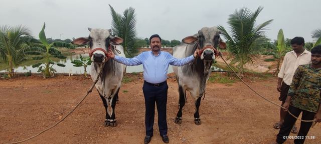 District Collector's plant visit, 2022